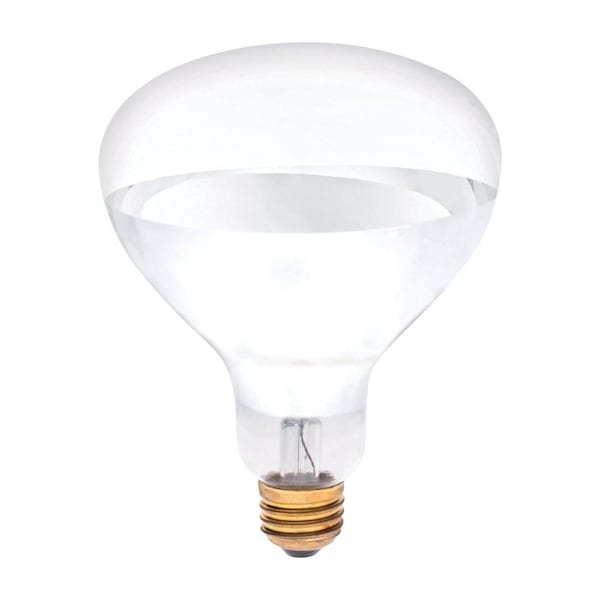 Westinghouse Westinghouse 250 W R40 Reflector Incandescent Bulb E26 (Medium) White 1 pk 03916 - main
